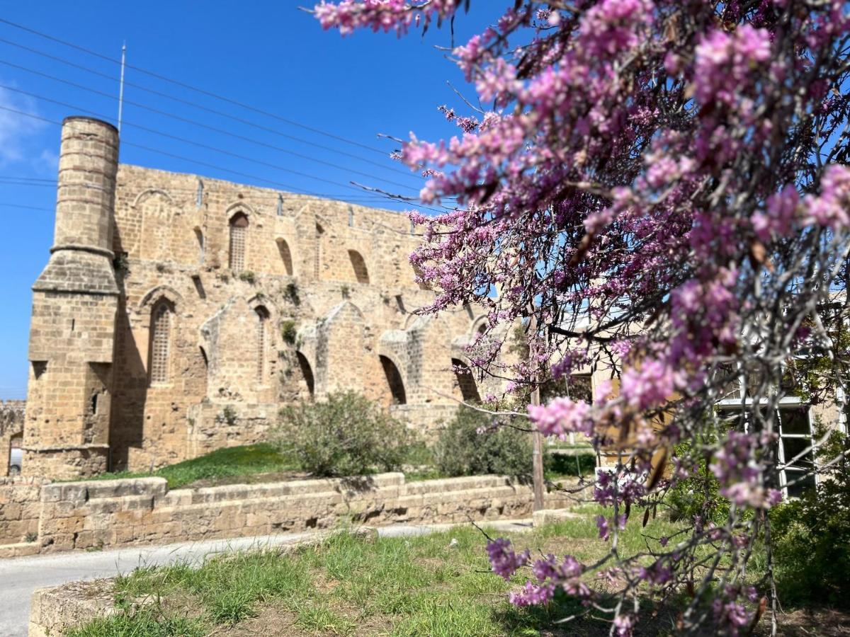 Royal Goddess Guest House, Walled City Famagusta  Exterior foto