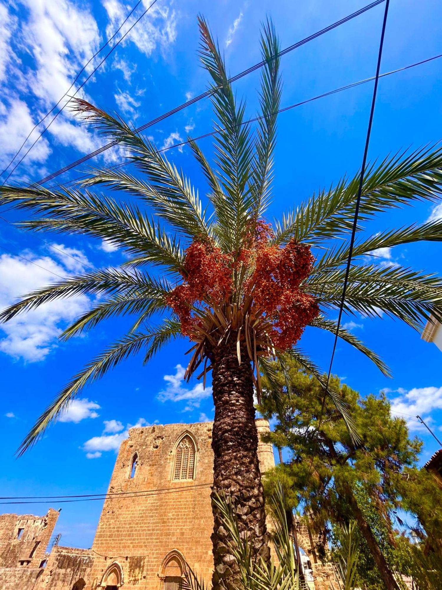 Royal Goddess Guest House, Walled City Famagusta  Exterior foto